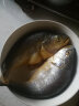 海名威 冷冻黄花鱼700g/2条 宁德大黄鱼地标 深海鱼 海鲜水产 生鲜鱼类 晒单实拍图