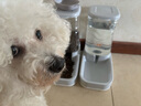汤琪宠物自动喂食器猫咪饮水机猫盆狗盆狗碗猫粮桶狗狗喝水器猫咪用品 极简灰 3.8L喂食器+3.8L喂水器 实拍图