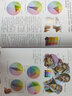 【现货速发】色彩与光线：写实主义绘画指南（珍藏版） 詹姆斯·格尔尼 贵哥翻译推荐（绘客出品）与艺术的故事媲美 看懂西方名画 人民邮电出版社 实拍图