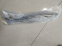鲜拔头筹 青岛大鲅鱼 新鲜海捕鲅鱼  深海大鲅鱼马鲛鱼海鲜水产生鲜鱼类 5斤装/5条 实拍图