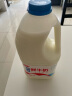 三元 0脂肪脱脂 鲜牛奶 1.8L  巴氏杀菌大桶鲜牛奶 家庭装 实拍图