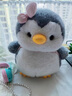 若兮可爱小企鹅公仔玩偶床上娃娃儿童毛绒玩具男女生生日礼物新年女孩 企鹅哥哥25cm【品质填充棉】 实拍图