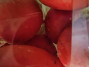 樱桃萝卜300g 实拍图