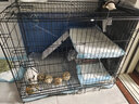 华美龙(配脚垫)兔子笼子家用加密室内养兔专用大号自动清粪宠物兔窝兔笼 黑色85*60*70cm双层款 实拍图