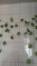 豚鹿仿真葡萄叶藤条植物树叶子管道吊顶装饰花藤假花塑料绿叶缠绕藤蔓 20叶小号葡萄【12条】 实拍图