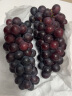 巨峰葡萄新鲜现摘大葡萄一整串当季孕妇水果 2斤 实拍图