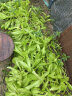 史丹利蔬菜用有机复合肥料韭菜油菜生菜香菜种菜家用菜肥料叶菜型 实拍图