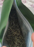 七春茶叶踏雪级兰妃茶特级蒙顶兰花茶甘露绿茶250g中秋教师节伴手礼品 实拍图