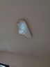 君御全光谱护眼客厅灯无缝隙吸顶灯现代简约卧室中山灯具套餐 无缝隙套餐17_4室2厅_大户型选 实拍图