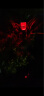 倍绿 太阳能草坪灯户外庭院灯防水景观家用led装饰灯地插灯花园氛围灯 双环草坪灯 暖白+彩色（单只装） 实拍图