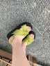 达芙妮厚底凉鞋女款夏季2026新款设计感交叉蝴蝶结软底百搭休闲沙滩凉鞋 绿色【软底舒适】 38 实拍图
