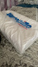 邓禄普（Dunlopillo）青年波浪枕 荷兰进口特菈蕾Talalay天然乳胶枕 物理发泡工艺  实拍图