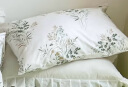 洁丽雅（Grace）100%纯棉四件套新疆棉床上用品床单被套200*230cm1.5/1.8米床 晒单实拍图