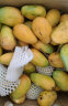 海南小台芒果 新鲜水果台农现摘小台应季热带水果特产芒果 单果重70-100g 带箱5斤（净重4.5） 晒单实拍图