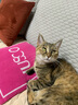 冠能猫粮 室内成猫粮7kg 实拍图