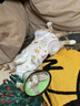 华元宠具（hoopet）猫咪绝育服母猫幼猫宠物小狗狗手术服透气戒奶服公猫防舔术后衣服 实拍图