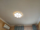 灵翔之光卧室灯吸顶灯无极遥控led灯具温馨简约现代薄家用房间灯2025新款 花朵 直径50cm  36w无极 实拍图