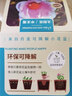 IAM City Farmer太阳花 可降解花盆套装 DIY室内阳台种植好种易开花儿童种植10048 实拍图