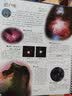 DK透视眼百科 星空 浩瀚星空的探索指南 观星必备图册 高清实拍图鉴 中小学生推荐课外阅读课外读物科普启蒙 开学季 实拍图