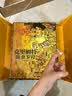 大艺术家画册系列全套 可选 收藏礼盒刷边版 艺术家画册画集世界名画艺术画册 克里姆特 流金岁月画册 赠：包+杯垫+藏书票 实拍图