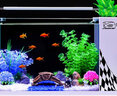 长锐侧滤鱼缸桌面办公室免换水生态水草超白水族箱 K260造景版【长27 宽21 高30】 实拍图