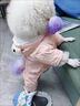 阿莫尔可爱宠物狗狗衣服泰迪小型犬加厚秋冬装四脚加绒猫咪衣服棉衣服饰 大眼睛（粉色） L 建议8-10斤 实拍图