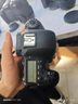 Canon佳能5D4 5D3 5D2 6D2 7D2 5DIV 6D全画幅单反相机二手 佳能6D Mark II 机身/6d2 99新 实拍图