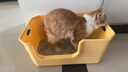 泰格宠物特大号猫砂盆超大号半封闭开放式防臭大黄油猫厕所防外溅猫咪用品 黄色50厘米【便捷提口】送铲 实拍图