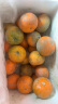 良知农哥广西茂谷柑 新鲜橘子柑橘桔子脏脏柑 实惠花皮果【外皮不好看】 5斤大果 约4个/斤 实拍图