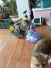 hoopet猫玩具猫咪自嗨解闷逗猫棒宠物猫咪玩具球多功能猫转盘五层升级款幼猫小猫幼猫用品薄荷球 单个【多功能】逗猫羽毛+猫薄荷球+猫转盘+猫风车 实拍图
