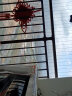 源兴（YUANXING）阳台防护网 塑料网防猫围栏宠物网儿童防漏防坠网封窗网1.2*3米长 晒单实拍图