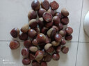 绿鲜森板栗新鲜丹东野生现摘应季蔬菜毛栗子 2斤 大果（2份发五斤） 实拍图