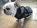 PEITE PET狗狗衣服冬天加厚保暖棉衣中大型犬金毛杜宾边牧柯基狗衣服可牵引 陨石灰【加绒加厚】 2XL （适合23-30斤） 实拍图