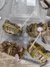 鲜活六月黄大闸蟹1只（2.0-2.5两/只） 实拍图