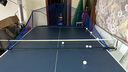 双鱼（DOUBLE FISH） 乒乓球发球机超级三代台式落地式智能初学级发球器 乒乓球训练器 E6 附集球网、乒乓球 实拍图