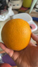 集年鲜赣南脐橙手剥甜橙子新鲜现摘生鲜水果整箱节日送礼 2斤装优选果（单果100-150g) 实拍图