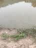 浮生 溪流竿超短节袖珍鱼竿迷你便携短节手竿碳素超轻超硬手杆钓鱼竿 实拍图