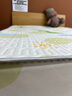 南极人（Nanjiren）夏季乳胶凉席三件套家用空调席子双人冰丝凉席可机洗床笠款四件套 RP-瞌睡狗（床笠款） 三件套 (凉席） 150cm*190cm 实拍图