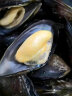 海捕大青口贝鲜活特大海虹淡菜新鲜冷冻海鲜贻贝青口贝水产 1斤尝鲜装 实拍图