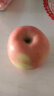 京鲜生 烟台红富士苹果8个 单果160-190g 新鲜水果 实拍图