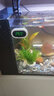 YEE鱼缸温度计电子数显led水温计水族专用鱼缸高精度防水草缸测水温 【误差低至0.1℃】 白色精准款 实拍图