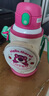 迪士尼（Disney）保温杯儿童水杯水壶学生316L不锈钢吸管直饮杯套礼盒幼儿园650ml 实拍图