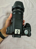 佳能（Canon） 850D 800D升级款新款单反相机 入门单反相机高清4K摄像800D 850D 反转屏可触摸支持无线传输照片  佳能800D单机（不含镜头） 套餐1：32G卡+钢化膜+延保 实拍图