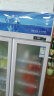 星星（XINGX）展示柜冷藏双门立式饮料柜冰柜商用便利店超市水果保鲜柜518升风直冷LSC-518Y 晒单实拍图