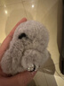 迪加伦 水貂毛镶钻萌萌兔钥匙扣 女 汽车挂件 车内装饰卡通可爱 皮草 装死公仔萌萌兔 正版 汽车用品-灰色 实拍图