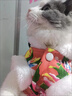 阿莫尔猫咪唐装狗狗衣服东北大花棉袄泰迪比熊博美柯基小狗新年喜庆服装 东北大花（红色） M-具体参考背长和胸围 实拍图