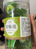 珍田阁青梅脆爽青口梅称酸脆凉果水果蜜饯果脯酸梅子孕妇零食 【3罐】青梅脆 果干类 750g 实拍图