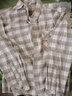 歌世爵歌世爵 春秋季新款男士衬衣休闲宽松舒适灯芯绒色织格子加厚衬衫 白色 L 实拍图