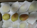 京鲜生 红香酥梨净重5斤 单果125g以上 生鲜 水果礼盒 实拍图