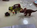 乐高（LEGO）积木拼装侏罗纪世界76959研究三角龙8岁+儿童玩具生日礼物 实拍图